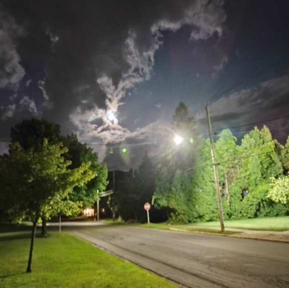 Meet your Posher, ShaRee - Picture 2 of 5